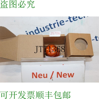 原装供应Pfannenberg P 100 FLF Luz 间歇闪烁灯 P100FLF Naranja