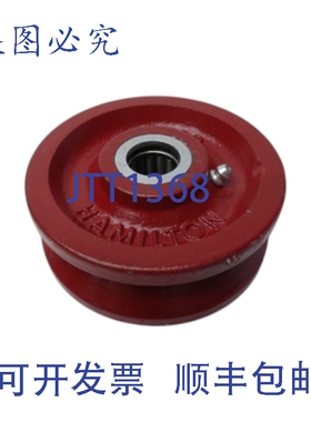 原装供应汉密尔顿 060025 NSNP