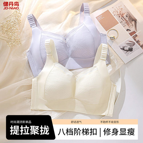健丹鸟大胸显小提拉内衣聚拢收副乳防下垂上托调整型薄款无痕文胸