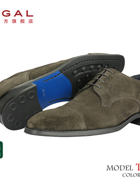 REGAL丽格T46B BJ23头层牛皮翻毛皮鞋反绒皮鞋德比秋冬男士皮鞋