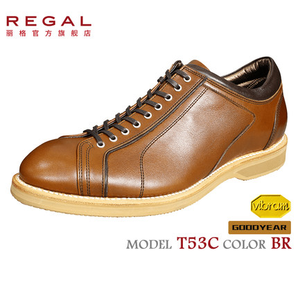 REGAL丽格T53C日常休闲耐磨系带反绒圆头潮流休闲皮鞋男