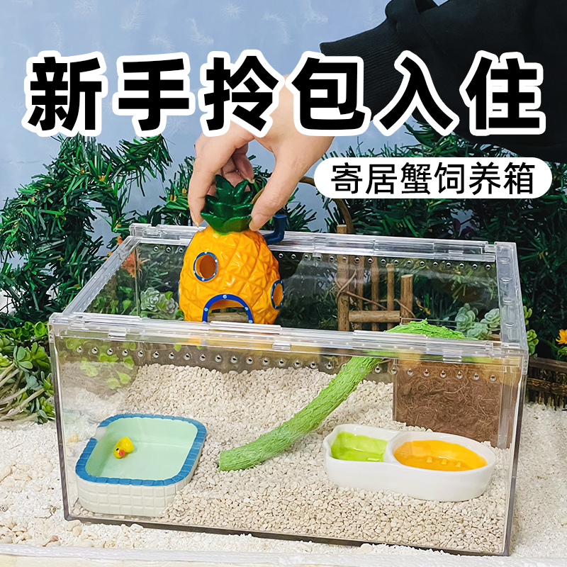寄居蟹新手饲养套餐套装