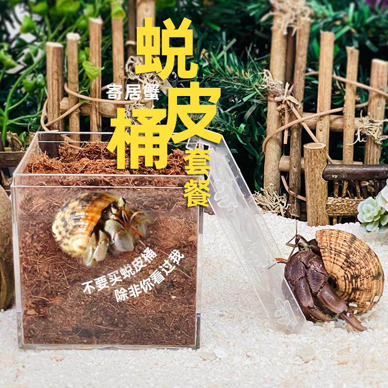 寄居蟹饲养箱套装防虫防虫
