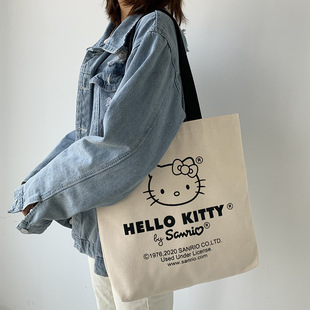 2025新的款夏女帆布包女单肩潮复古学生日韩可爱猫咪购物布袋包女
