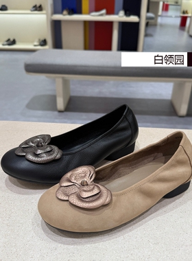 achette雅氏~专柜正品2025秋季蝴蝶兰饰扣正装浅口低跟单鞋女5T22