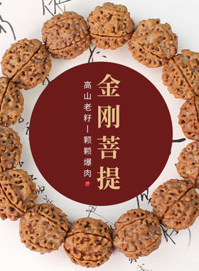 陵固思金刚菩提文玩手串五瓣爆肉