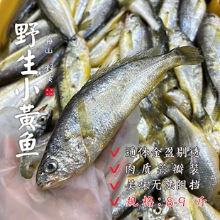 【闹妈】[热气]舟山野生粗鳞小黄鱼1斤8-9条款 按斤卖