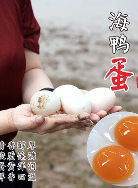 【闹妈甄选】舟山新鲜海鸭蛋/放养海鸭/个大蛋鲜20枚/组 单独发货