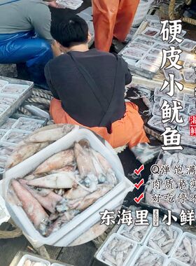 【闹妈海鲜】 船冻野生硬皮鱿鱼/中小号/肉质弹Q鲜味十足
