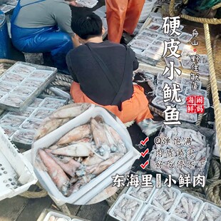 【闹妈海鲜】 船冻野生硬皮鱿鱼/中小号/肉质弹Q鲜味十足
