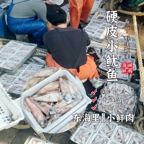【闹妈海鲜】 船冻野生硬皮鱿鱼/中小号/肉质弹Q鲜味十足