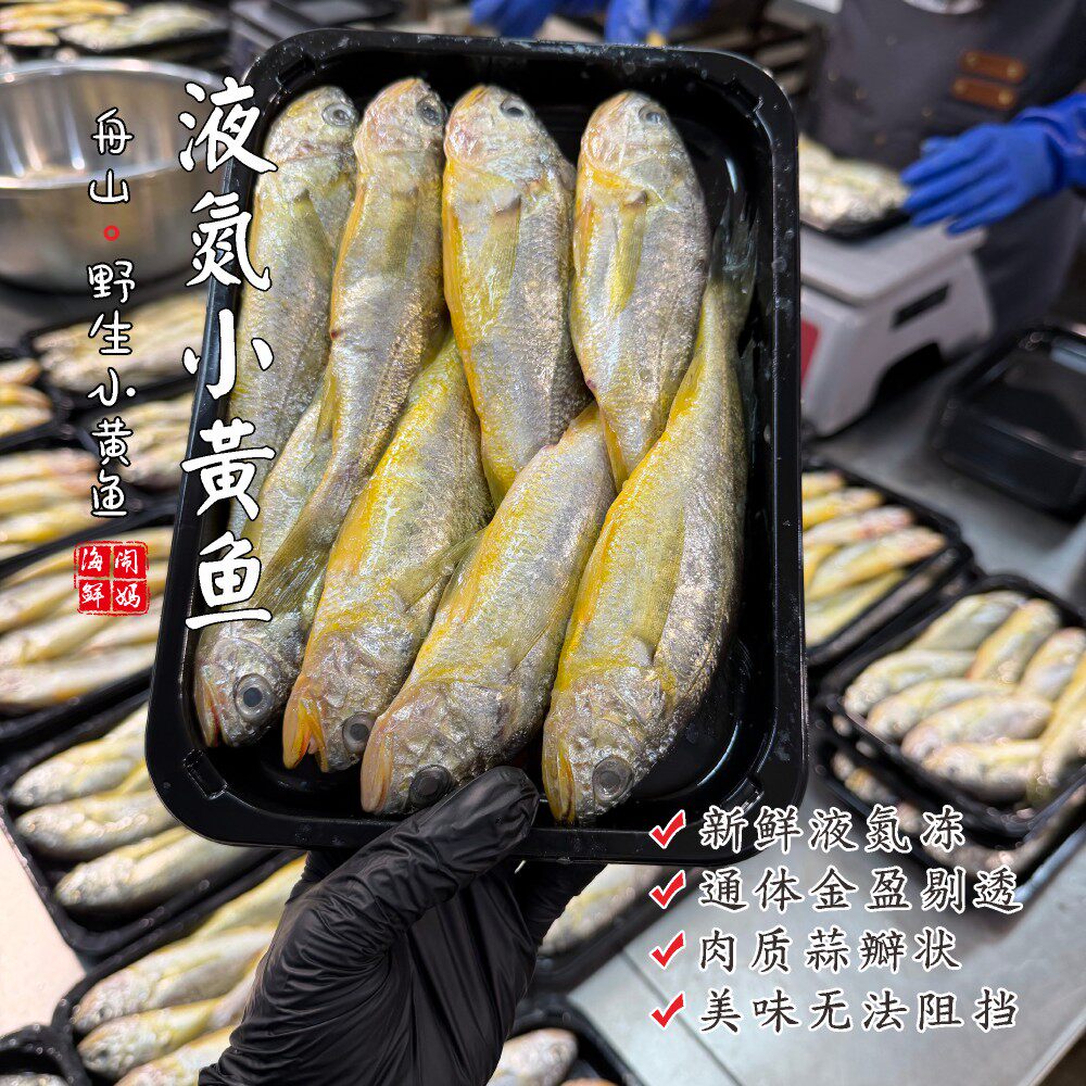 【闹妈海鲜】[鲜冻]舟山野生小黄鱼 各种规格