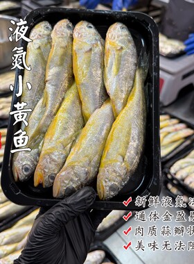 【闹妈海鲜】[鲜冻]舟山海捕野生小黄鱼 各种规格