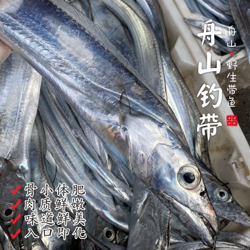 【闹妈海鲜】【鲜冻】舟山海钓带鱼 各种规格 按条卖,水产肉类/新鲜蔬果/熟食,比目鱼/多宝鱼/鸦片鱼/龙利鱼,淘宝优惠券,粉丝福利购,淘宝优惠卷
