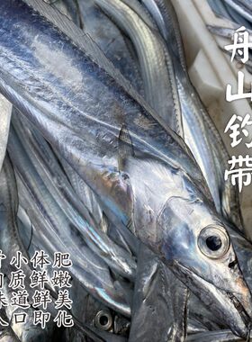 【闹妈海鲜】【鲜冻】舟山海捕海钓带鱼 各种规格 按条卖