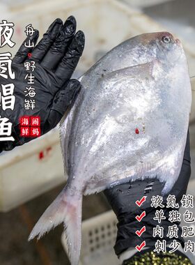 【闹妈[鲜冻]2026舟山海捕银鲳鱼 1条4-5两/5-6两/6-7两/7-8两