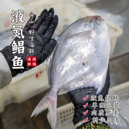 【闹妈[鲜冻]2026舟山海捕银鲳鱼 1条4-5两/5-6两/6-7两/7-8两