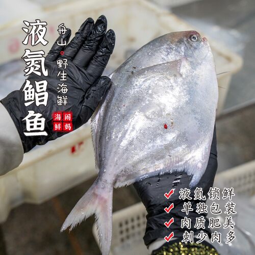 【闹妈[鲜冻]2026舟山海捕银鲳鱼 1条4-5两/5-6两/6-7两/7-8两
