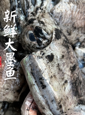 【闹妈】[热气] 舟山新鲜捕捞大墨鱼 各种规格