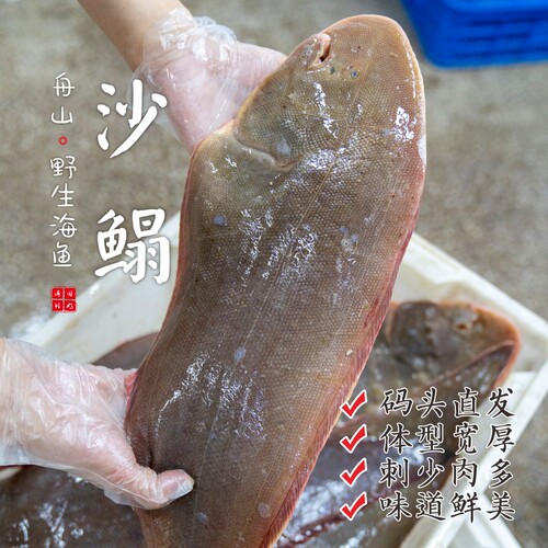 【闹妈海鲜】[热气]舟山捕捞沙鳎鱼 舌鳎鱼 各种规格 按条卖