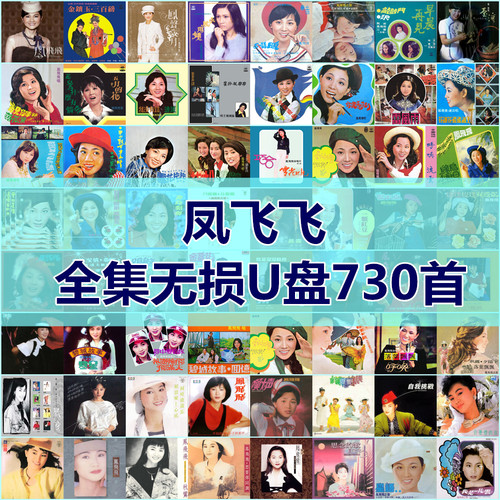 凤飞飞歌曲全集U盘无损高音质经典新老歌曲全合集汽车载音乐优盘