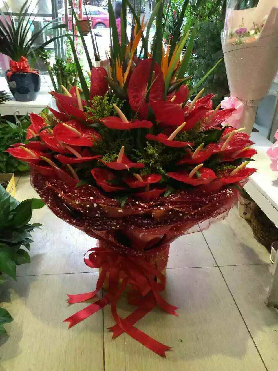 西安鲜花同城速递50支红掌鹤望兰高端花束探望恭贺长辈生日祝福