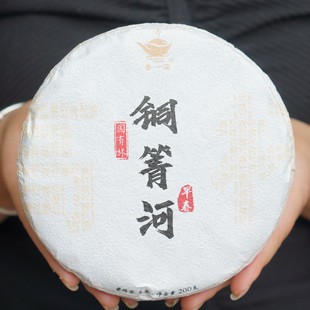 普一诺2023年易武铜箐河高杆早春普洱茶生茶倾心