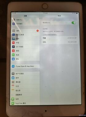 mini 2 A1489 16g 触摸正常，内屏有漏光，ho议价商品