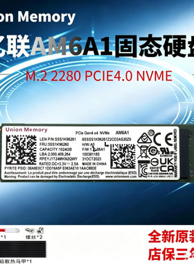 全新亿联AM6A1 1TB M.2 2280 PCIE4.0 NVME笔记本台式机固态硬盘