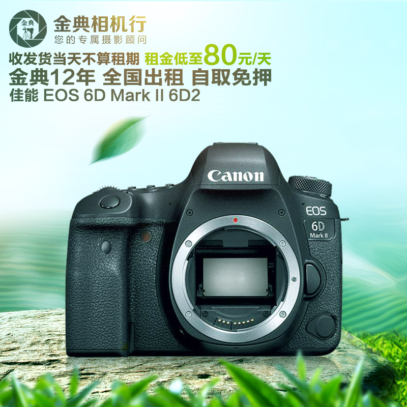 ³ö×â Canon/¼ÑÄÜ EOS 6D Mark II 6D2¸ß¶Ëµ¥·´ ½ðµäÏà»úÐÐ×âÁÞ