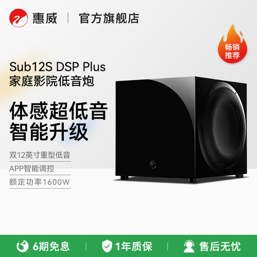HiVi惠威SUB12SDSPPlus低音炮