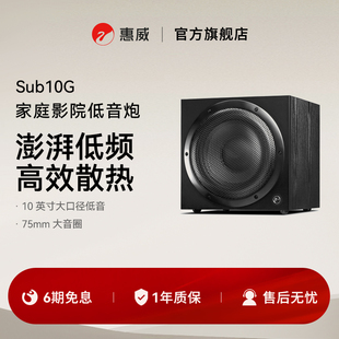 Hivi 惠威Sub10G低音炮家庭影院有源超低音家用音响10英寸音箱