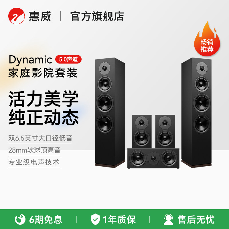 惠威Dynamic家庭影院5.0音响高端套装落地立体声电视客厅环绕音箱