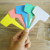 标签牌 园艺用品塑料种植工具用具插地牌种花标识牌 花卉植物插牌