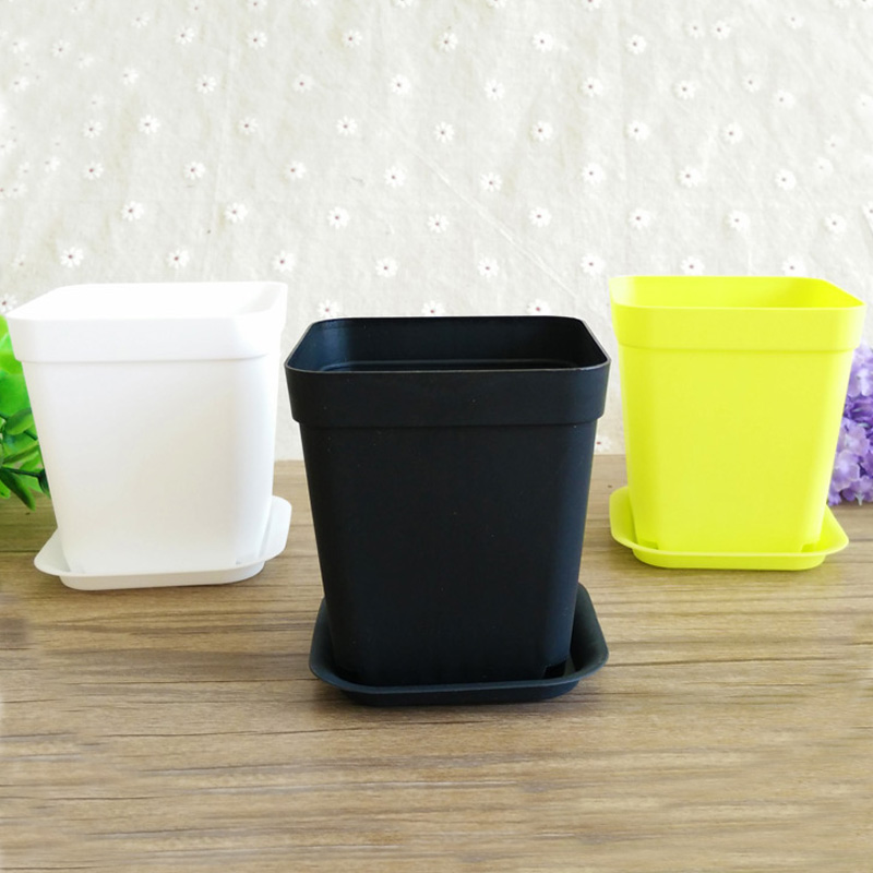 多彩小方花盆塑料花苗假植育苗