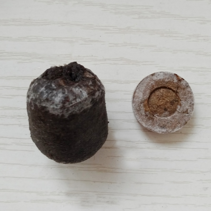 30块进口育苗块19元包邮 种子育苗 花种子育苗工具 泥碳土育苗块