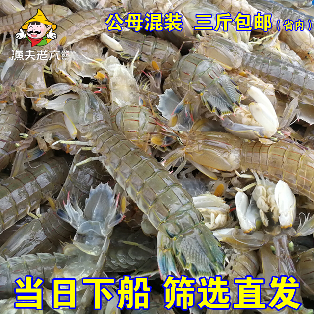 渤海海鲜皮皮虾虾爬子