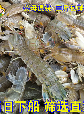 渤海海鲜皮皮虾虾爬子