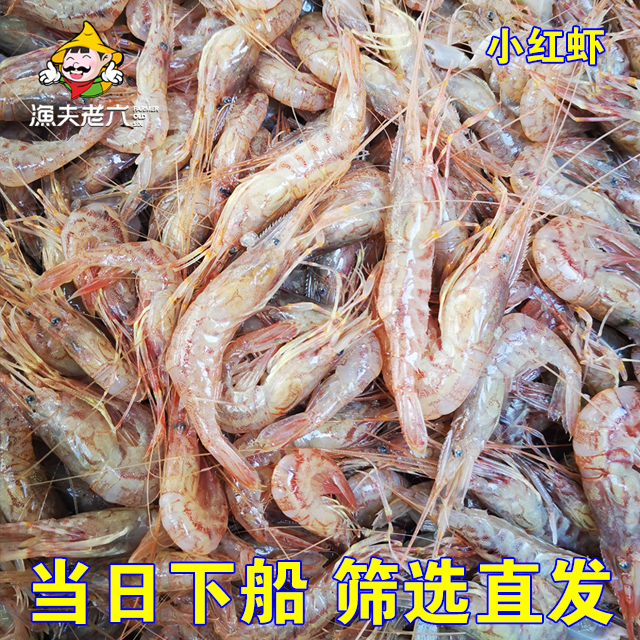 渤海湾小红虾野生桃花虾