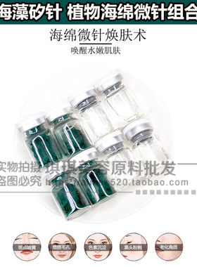 海绵微针植物海藻矽针
