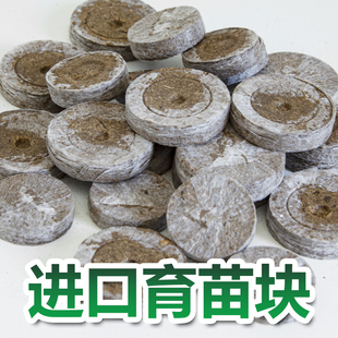 挪威进口 捷菲Jiffy 育苗块30mm 38mm 扦插育苗播种育苗盒套装