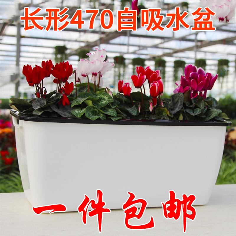 长方形懒人种菜自动吸水树脂
