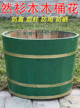 绿色大木桶种树盆实木盆景绿萝园林景观庭院户外大花盆圆形种花桶