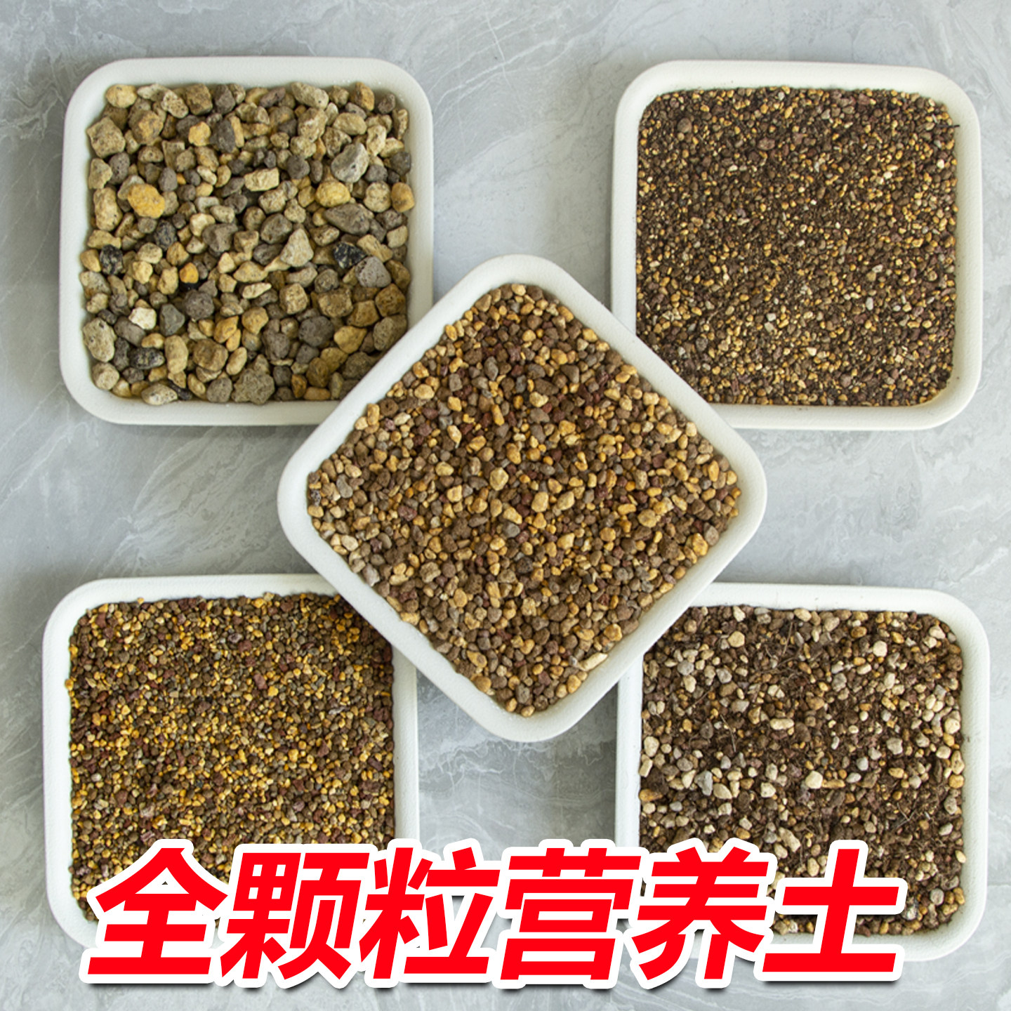 多肉全颗粒土植金石植物铺面种植桐生砂赤玉土火山岩兰花营养土