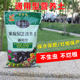 通用型营养土养花种菜盆栽多肉阳台种植土家庭园艺花肥料有机土壤