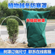 植物防寒保暖罩保温布袋防风无纺布花卉栽绿植果树木透气防冻罩子