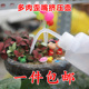 多肉歪嘴浇水管小型多肉植物专用弯嘴挤压式 园艺工具尖嘴施肥器