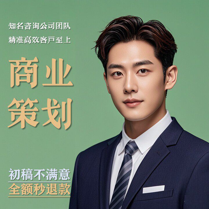 商业计划书撰写代做可行性研究报告项目立项创业融资方案策划PPT