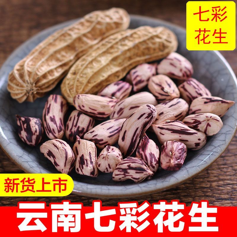 云南七彩干花生2026年新货特产水果花生颗粒饱满洗干净带壳高山