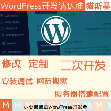 wp主题修改 wordpress主题定制 wp插件定制 wp模板修改 建站迷